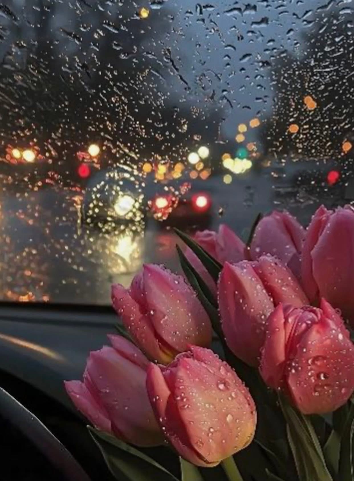 Rời Xa Những Người Mình Muốn Rời Xa