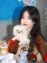 Ảnh bìa của Tôi Đã Dành Trọn Tình Cảm Cho Sai Người