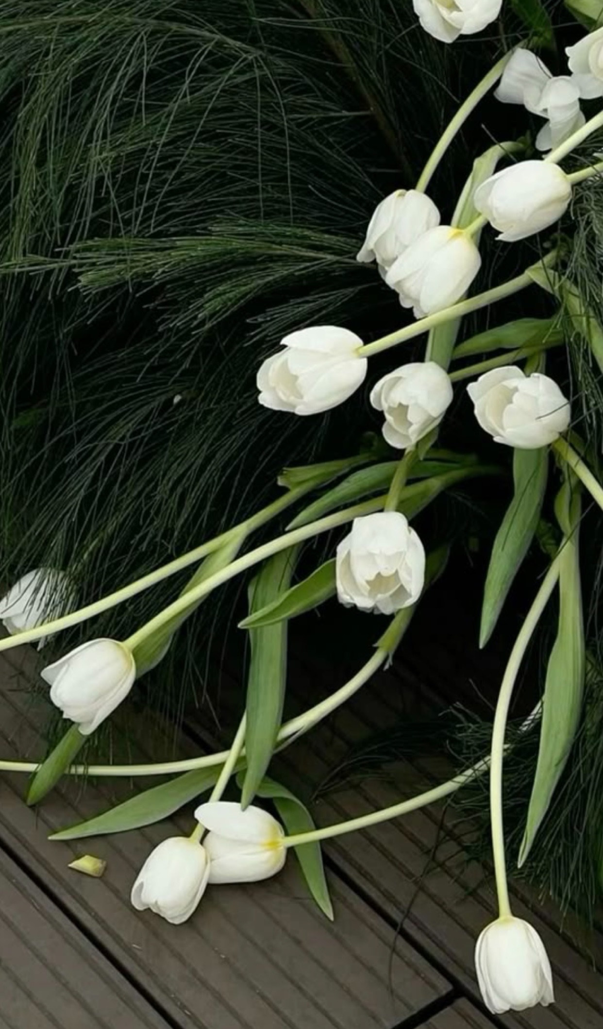 Thẩm Ưu