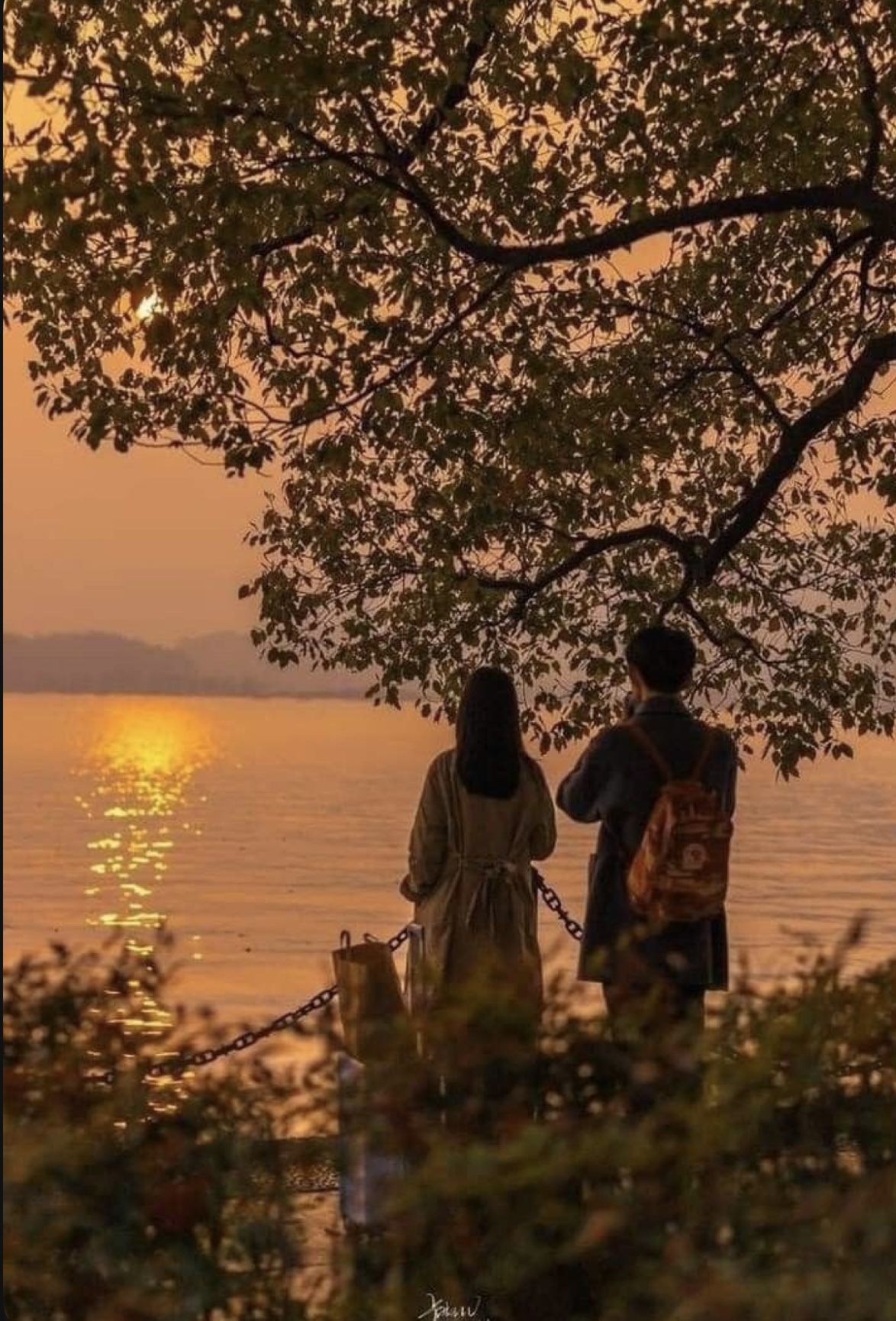Lòng Người Lạnh Lẽo Đến Đáng Sợ