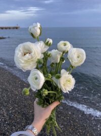 Ảnh bìa của Bạn Thân Và Chồng Gạo Nấu Thành Cơm