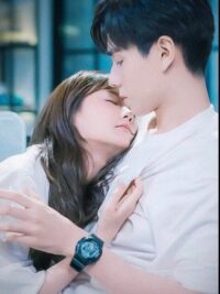 Ảnh bìa của Gặp Người Tình Trong Mơ