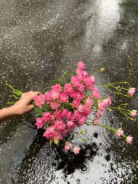 Ảnh bìa của Nhặt Một Anh Mị Ma Về Nuôi