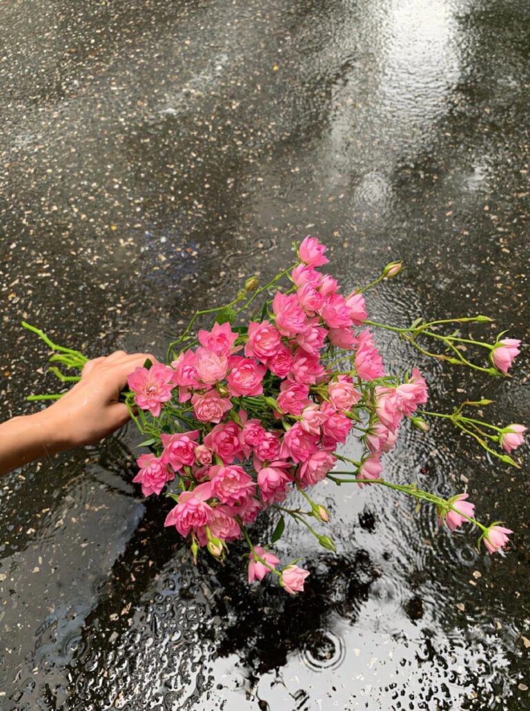 Nhặt Một Anh Mị Ma Về Nuôi