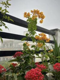 Ảnh bìa của Tìm Anh Suốt Ba Năm