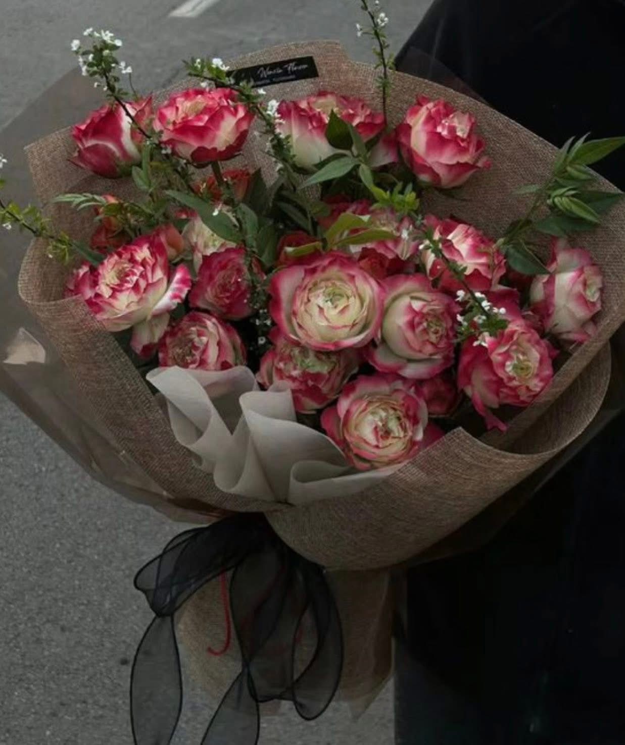 Cá Cược Học Đường