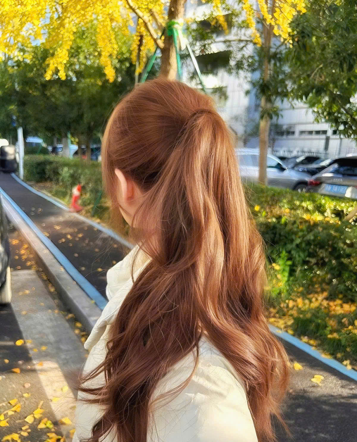 Cú Nhảy Đắt Giá