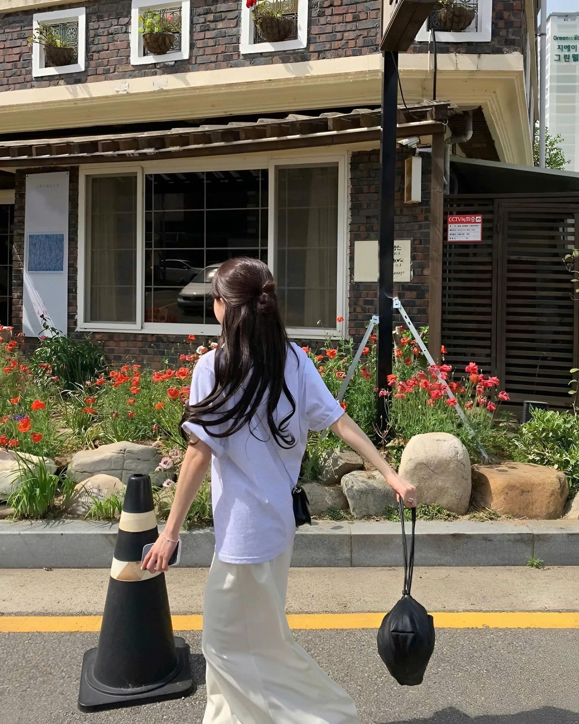 Hoa Cúc Ngày Cưới