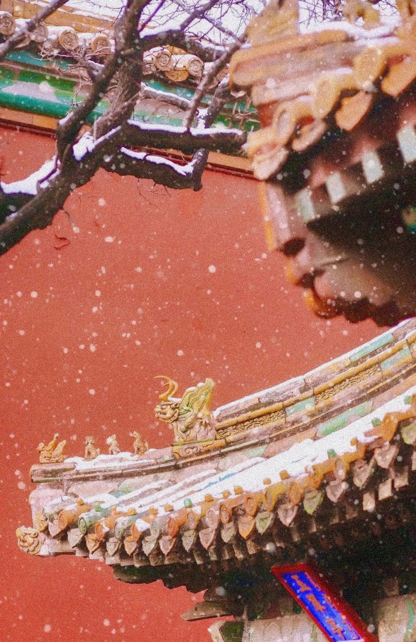 Nàng Cho Ta Hy Vọng