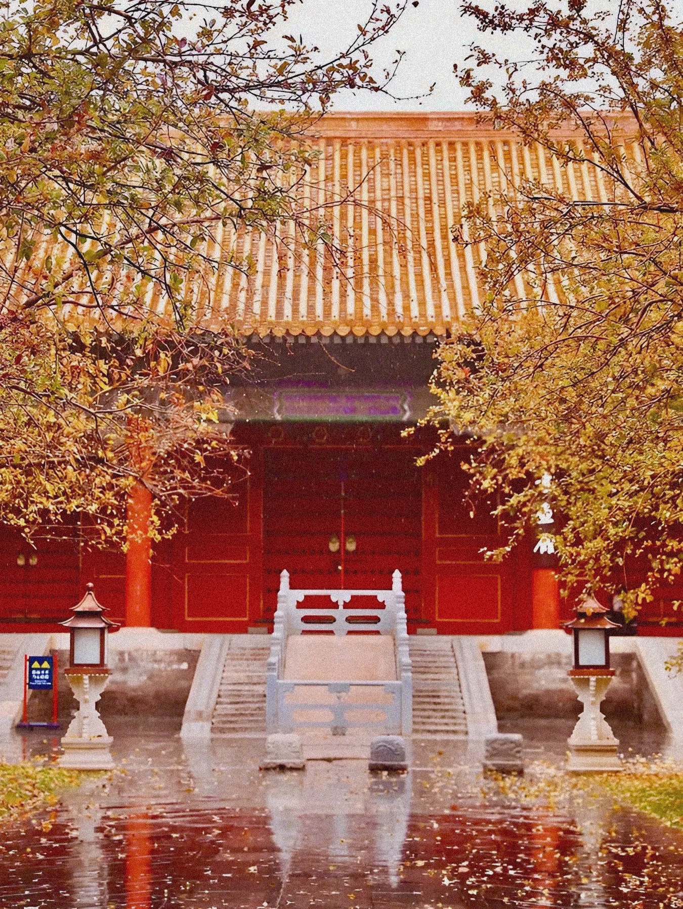 Lựa Chọn Giữa Hai Người