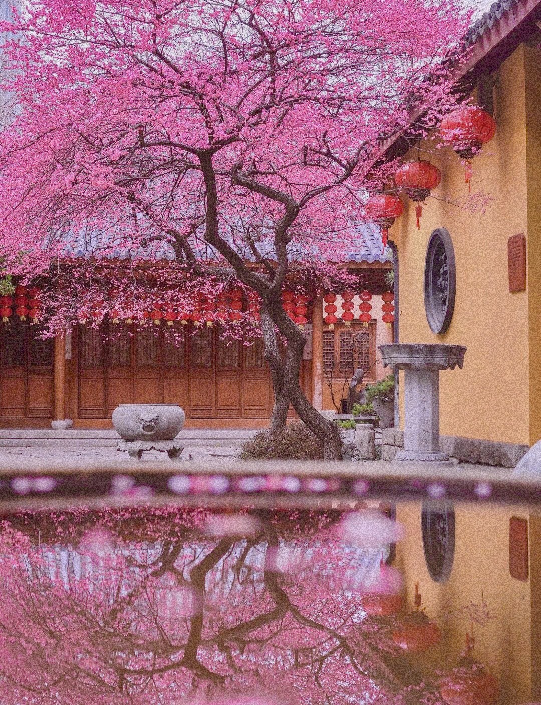Để Ta Cho Ngươi Nếm Mùi Nhân Quả