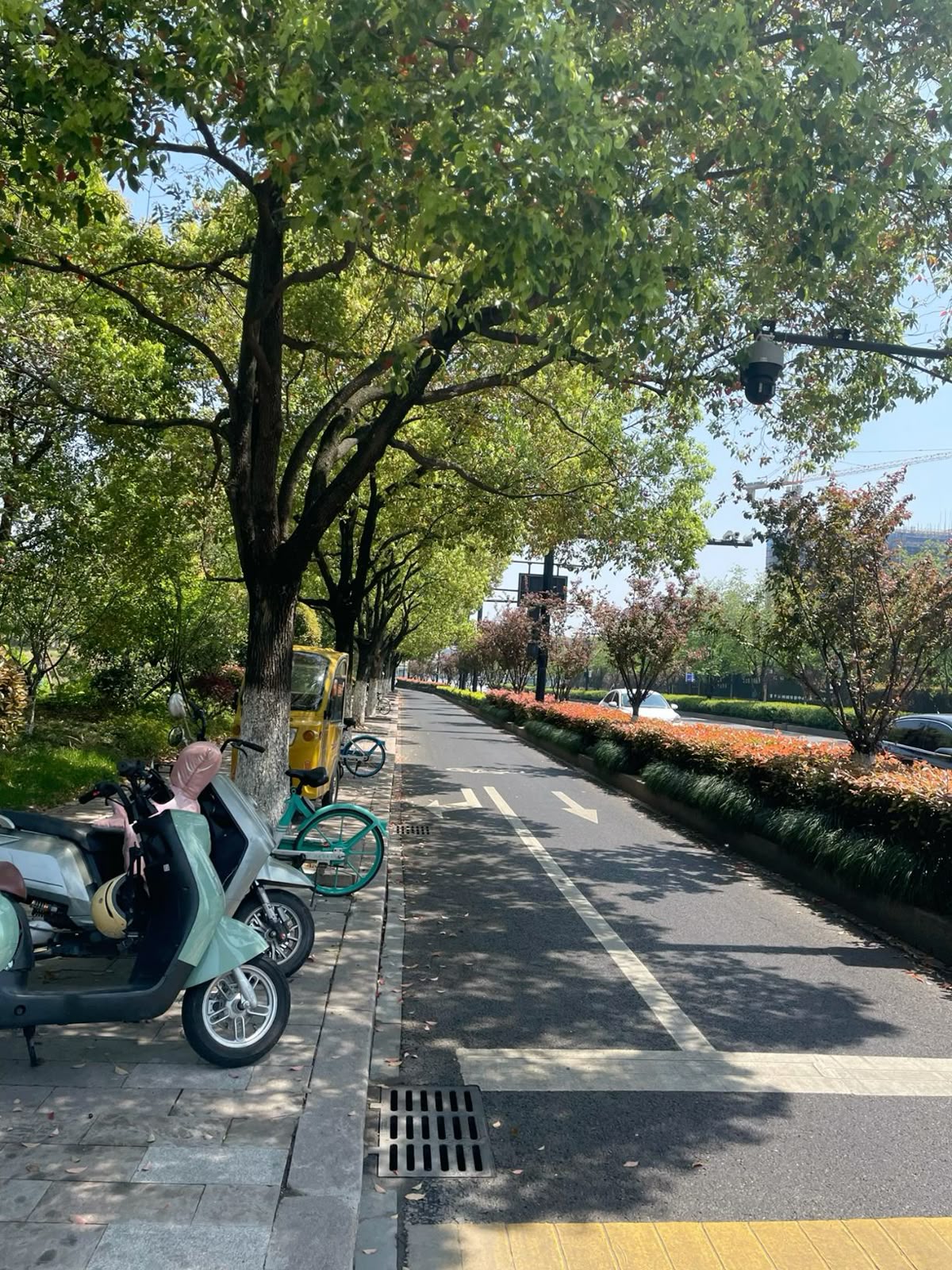 Để Bà Gỡ Lại Cho Cháu