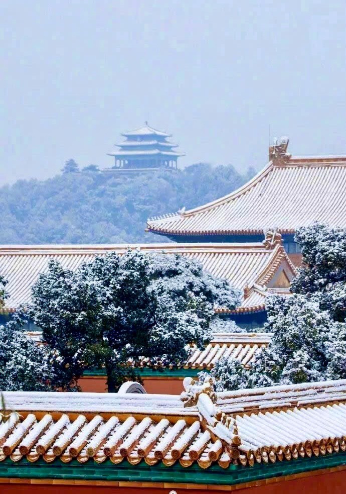 Phu Quân, Ta Trả Tự Do Cho Chàng