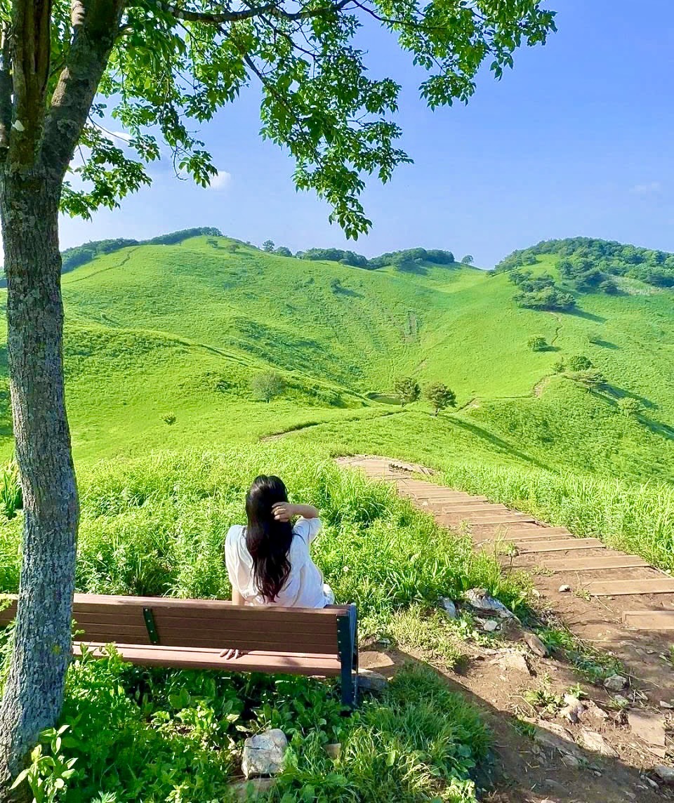 Chồng À, Em Vẽ Anh Thành Nam Chính Rồi