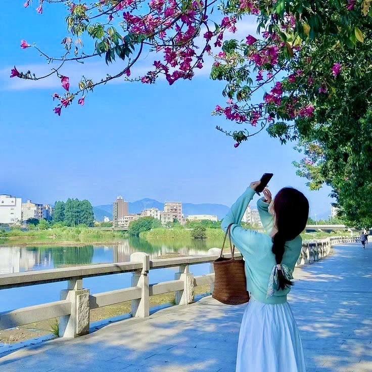 Nếu Như Chưa Từng Gặp Gỡ