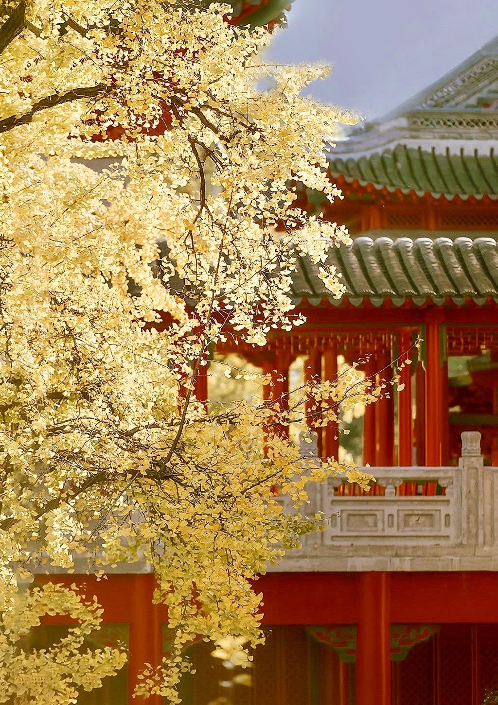 Thiên Hạ Chỉ Muốn Một Người