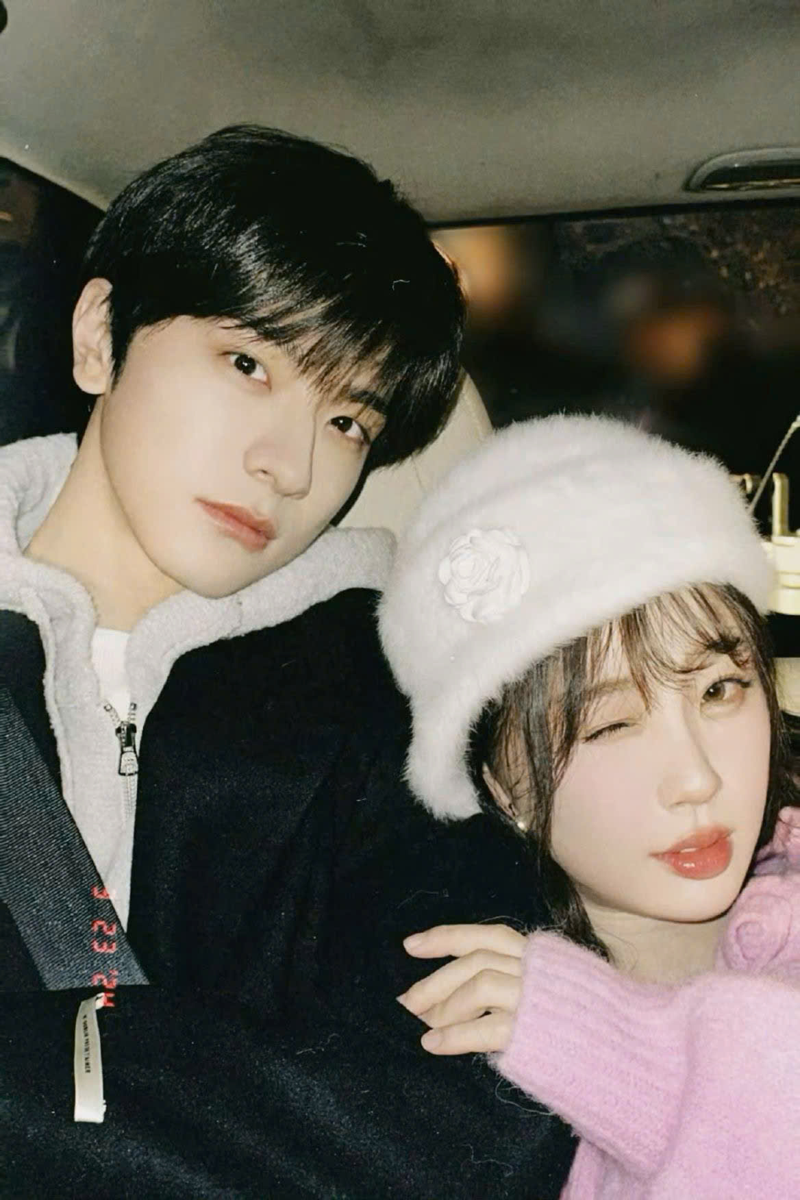 Kẻ Thù Không Đội Trời Chung Tuyển Chim Hoàng Yến