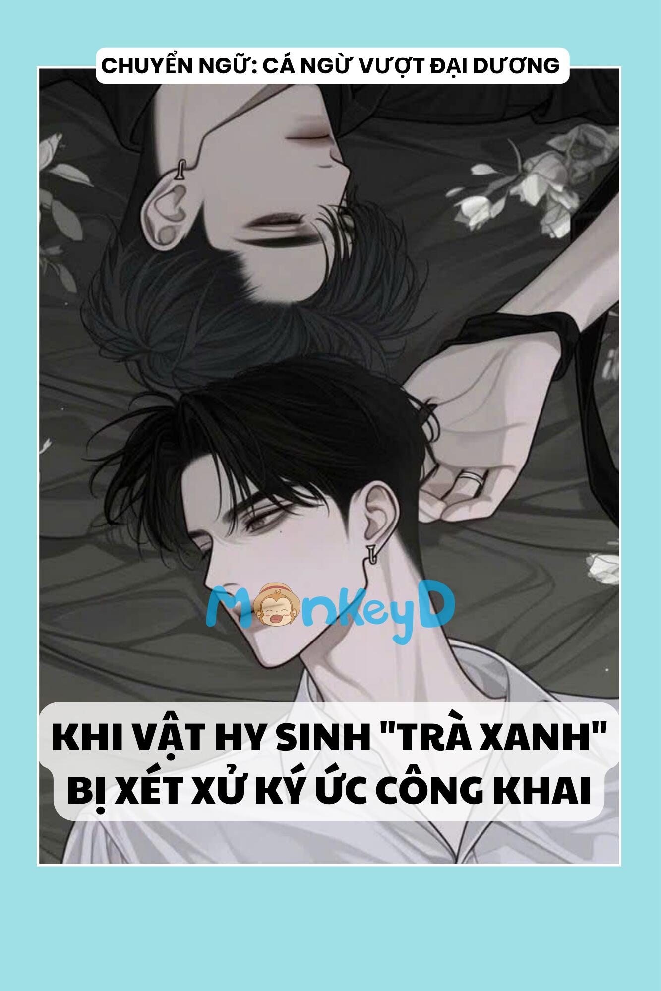 Khi Vật Hy Sinh “Trà Xanh” Bị Xét Xử Ký Ức Công Khai