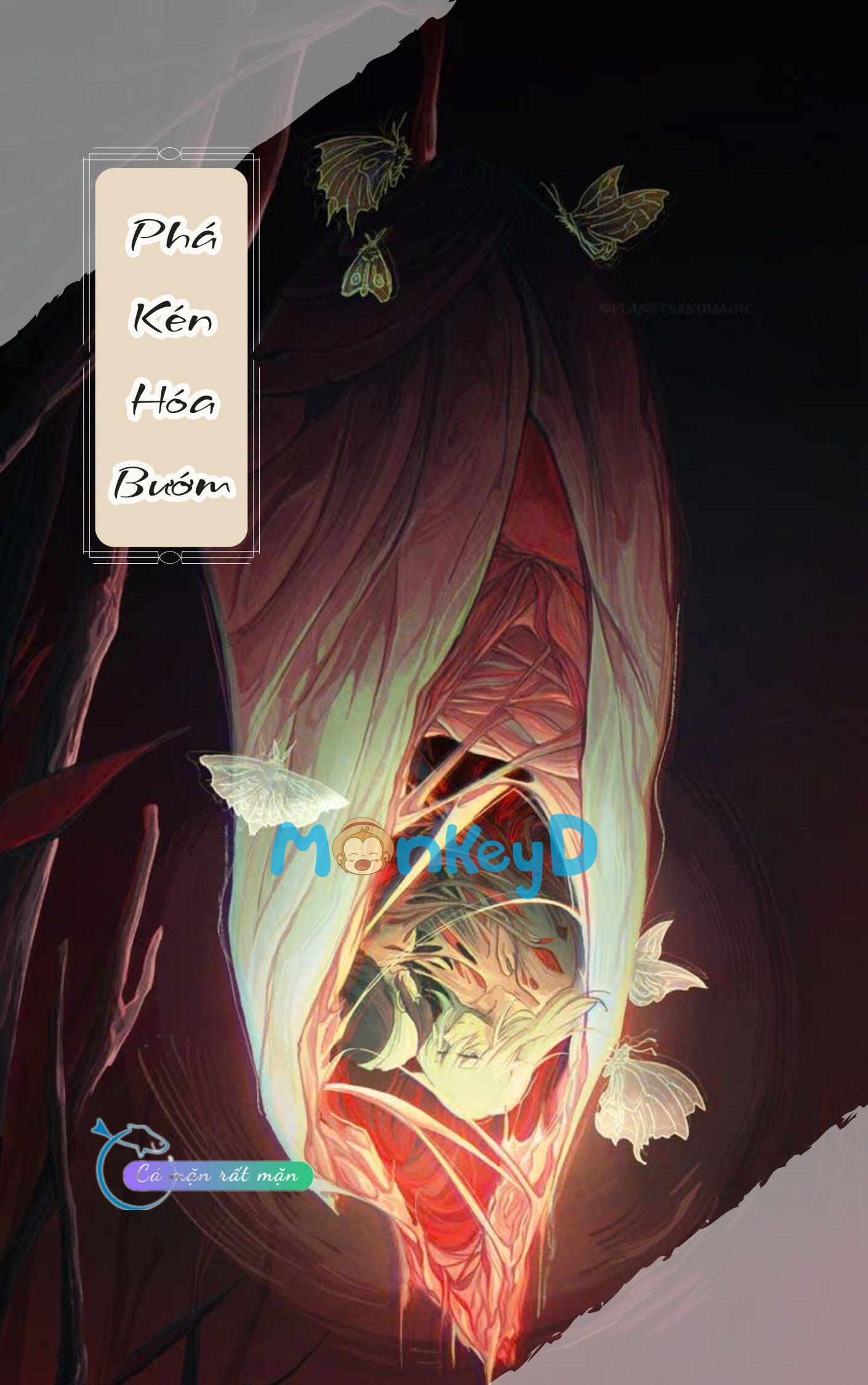 Phá Kén Hóa Bướm