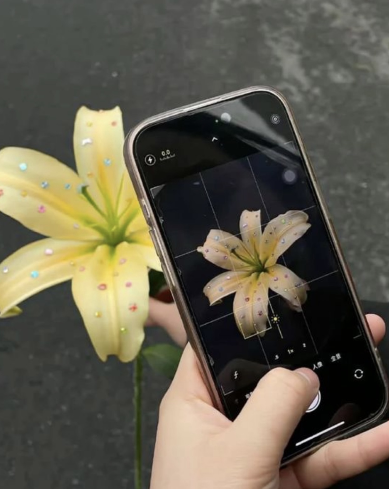 Thắp Đèn Trời Cho Nam Tiện Nữ