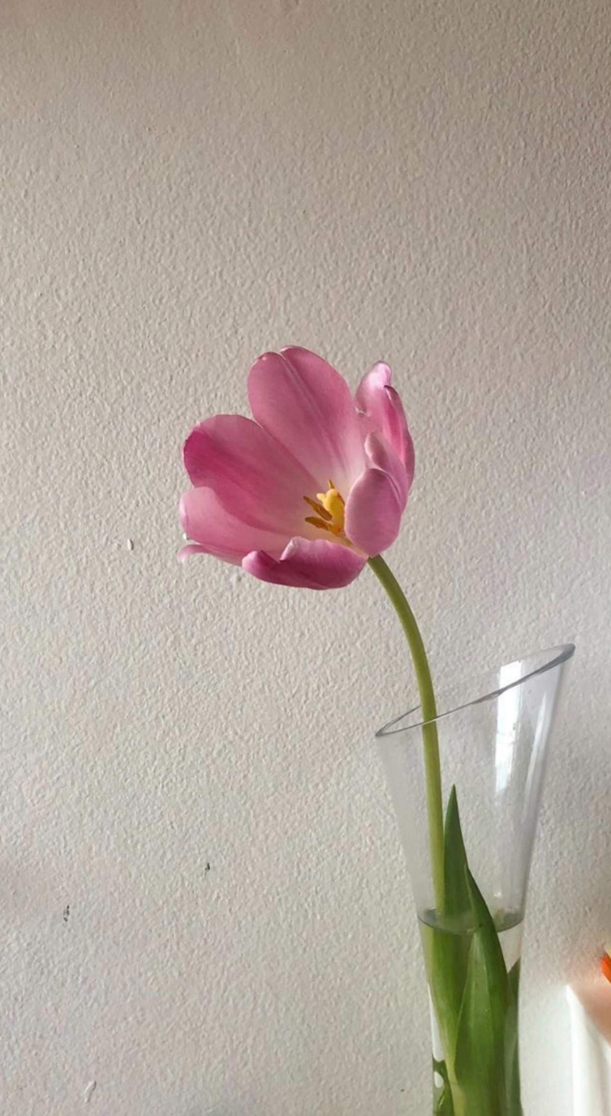 Vì Em Xứng Đáng