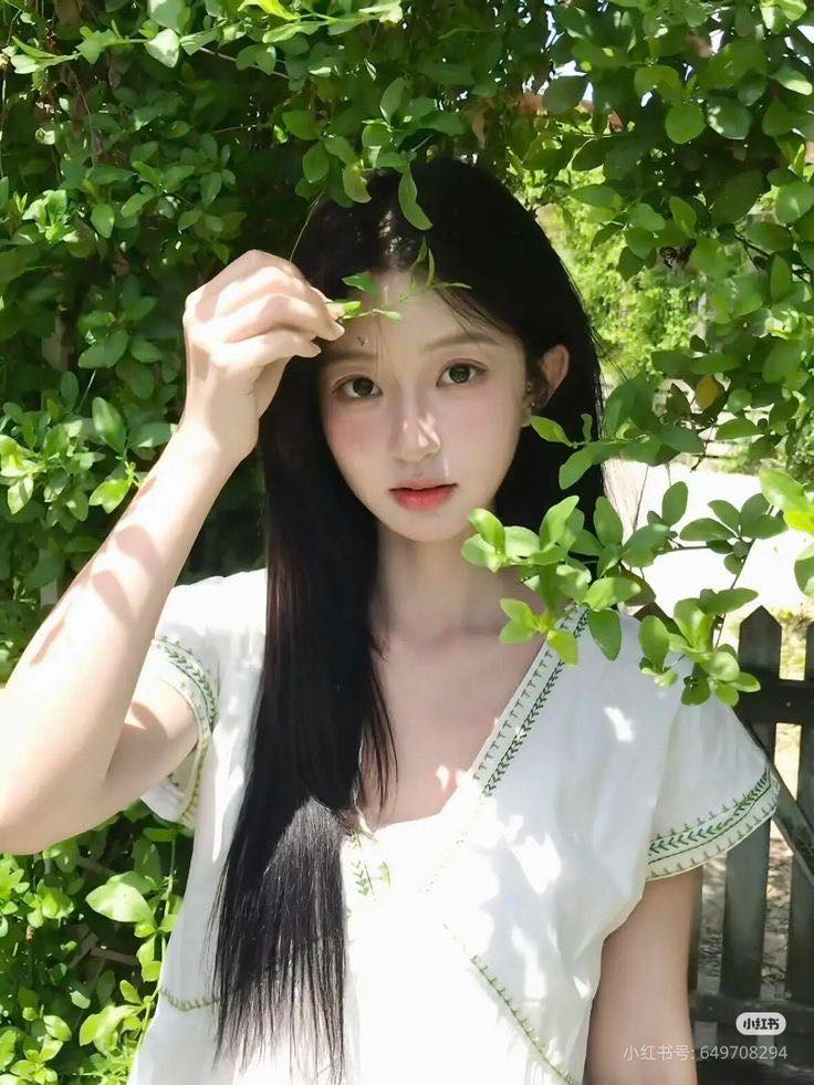 Hoa Sơn Trà