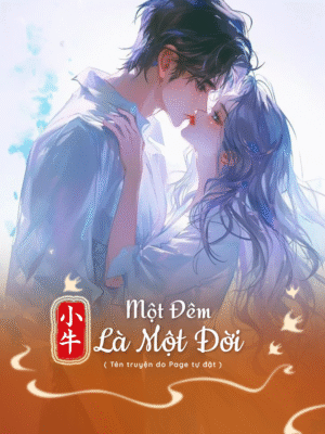 Ảnh bìa của Một Đêm Là Một Đời