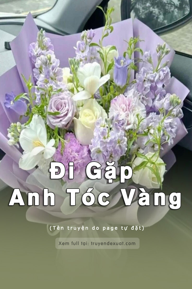 Đi Gặp Anh Tóc Vàng